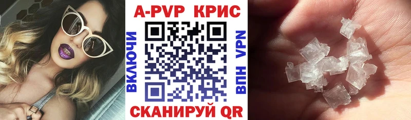 A-PVP СК  Вологда 