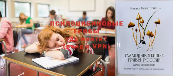 СК Верхний Тагил