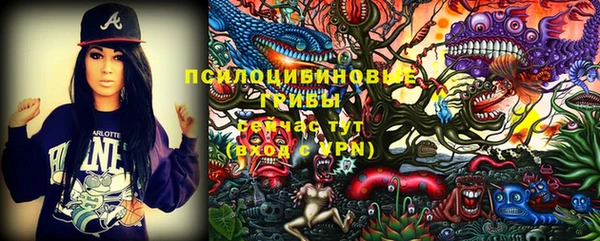 СК Верхний Тагил